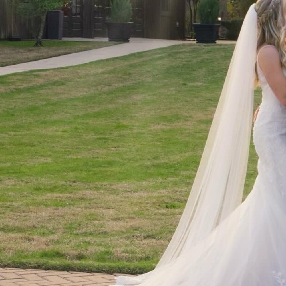 Cathedral veil